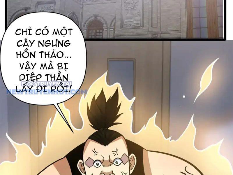 Đô Thị Cực Phẩm Y Thần Chapter 171 - Trang 2