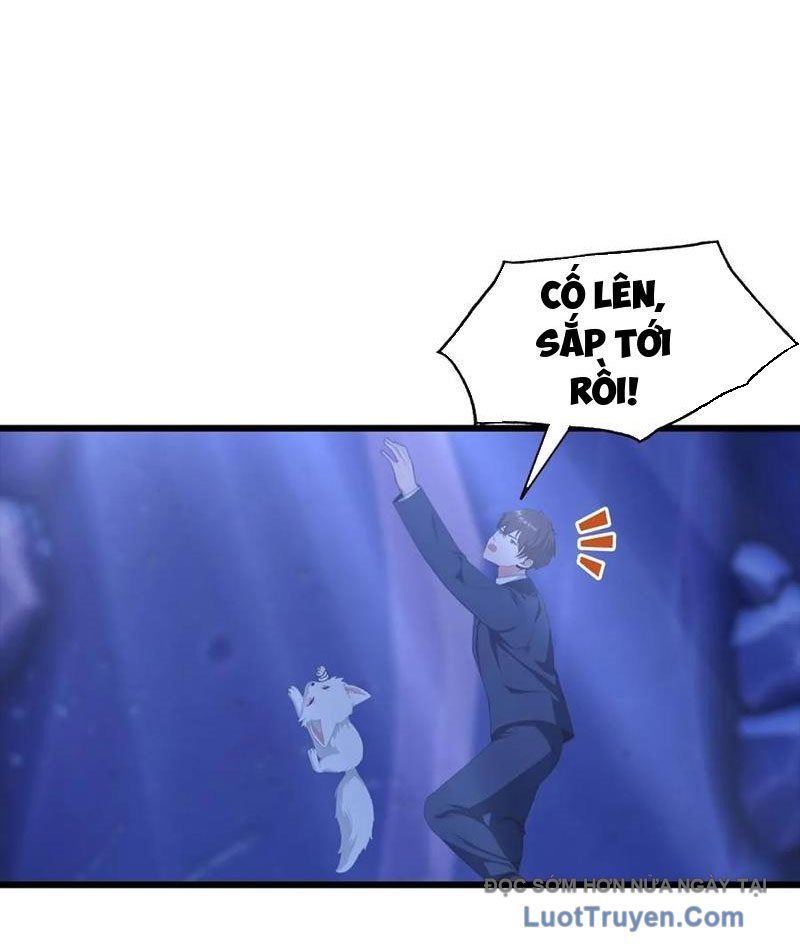 Đô Thị Thánh Thủ: Ta Là Y Võ Đỉnh Phong Chapter 140 - Trang 2