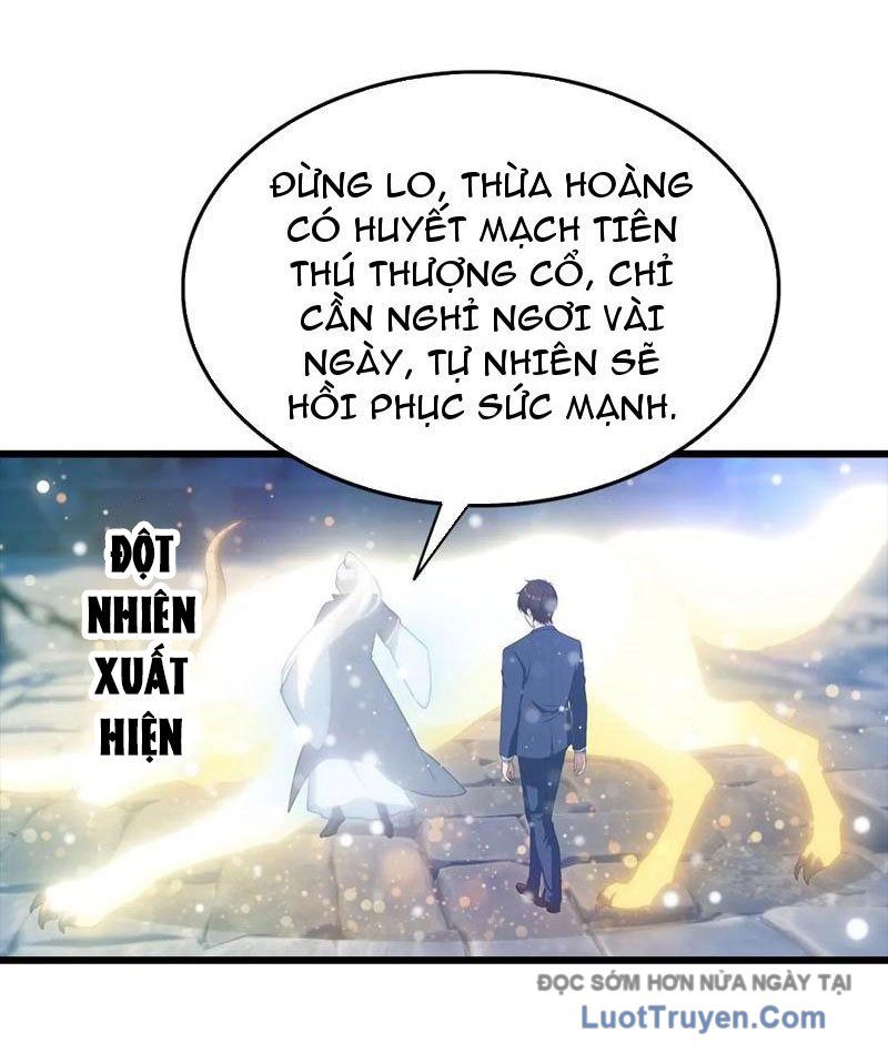 Đô Thị Thánh Thủ: Ta Là Y Võ Đỉnh Phong Chapter 140 - Trang 2