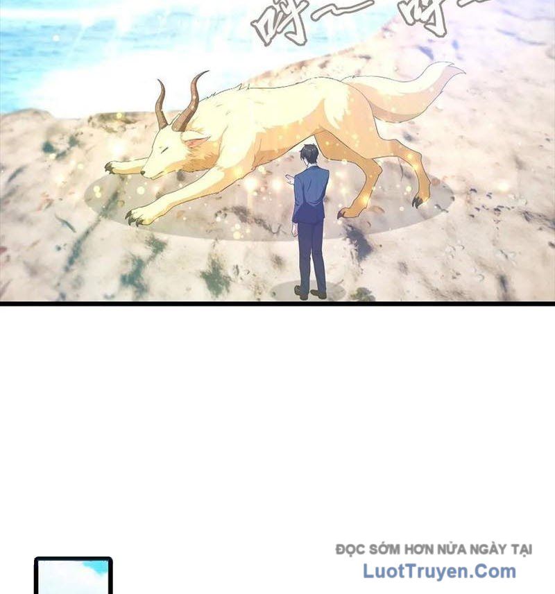 Đô Thị Thánh Thủ: Ta Là Y Võ Đỉnh Phong Chapter 141 - Trang 2