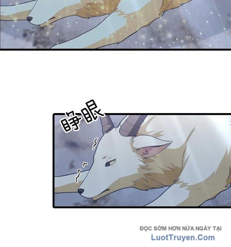 Đô Thị Thánh Thủ: Ta Là Y Võ Đỉnh Phong Chapter 141 - Trang 2