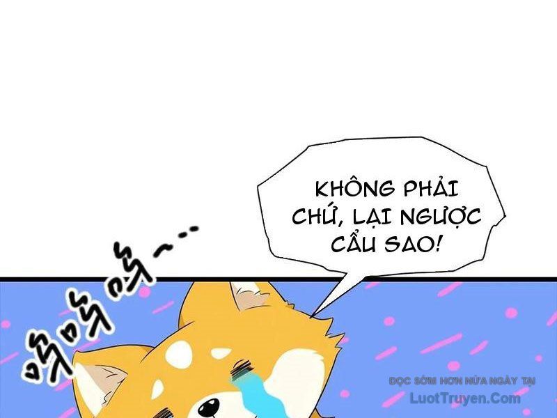 Đô Thị Thánh Thủ: Ta Là Y Võ Đỉnh Phong Chapter 142 - Trang 2