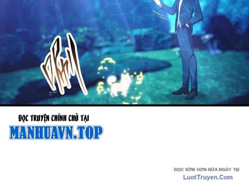 Đô Thị Thánh Thủ: Ta Là Y Võ Đỉnh Phong Chapter 142 - Trang 2