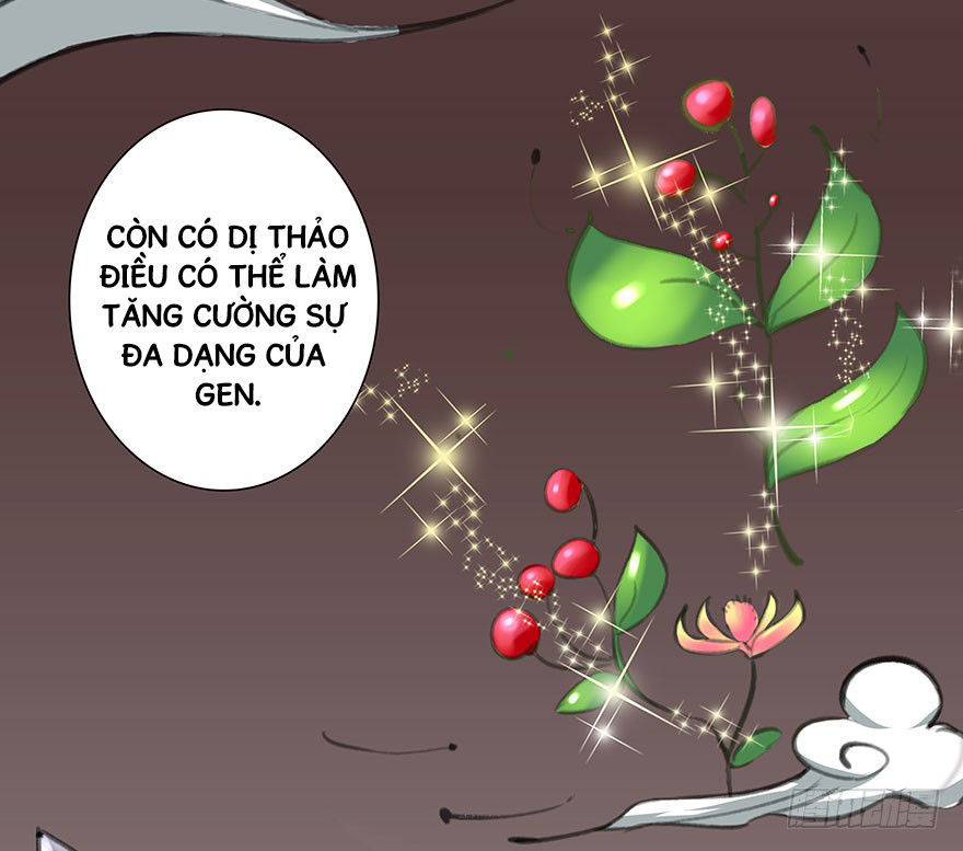 Đô Thị Tu Luyện Cuồng Triều Chapter 5 - Trang 2