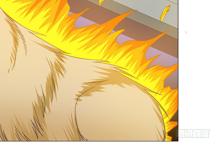 Đô Thị Tu Luyện Cuồng Triều Chapter 9 - Trang 2