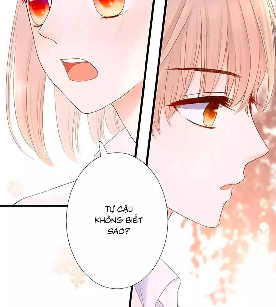 Đóa Hoa Chớm Nở Chapter 18 - Trang 2