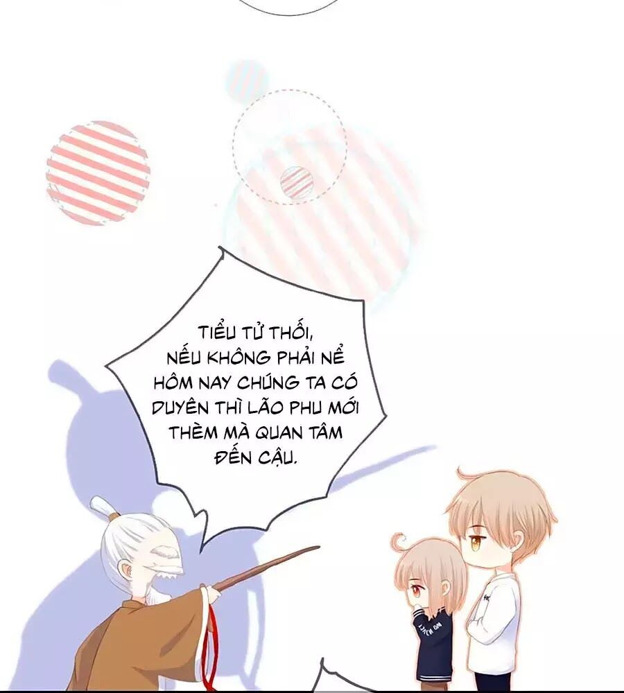 Đóa Hoa Chớm Nở Chapter 22 - Trang 2