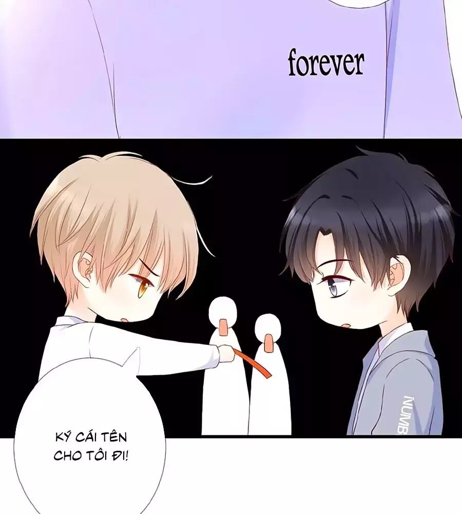 Đóa Hoa Chớm Nở Chapter 22 - Trang 2