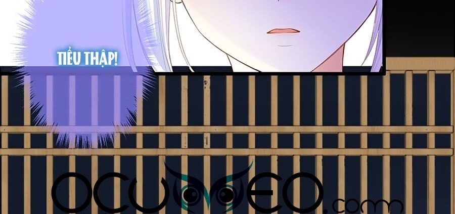 Đóa Hoa Chớm Nở Chapter 28 - Trang 2