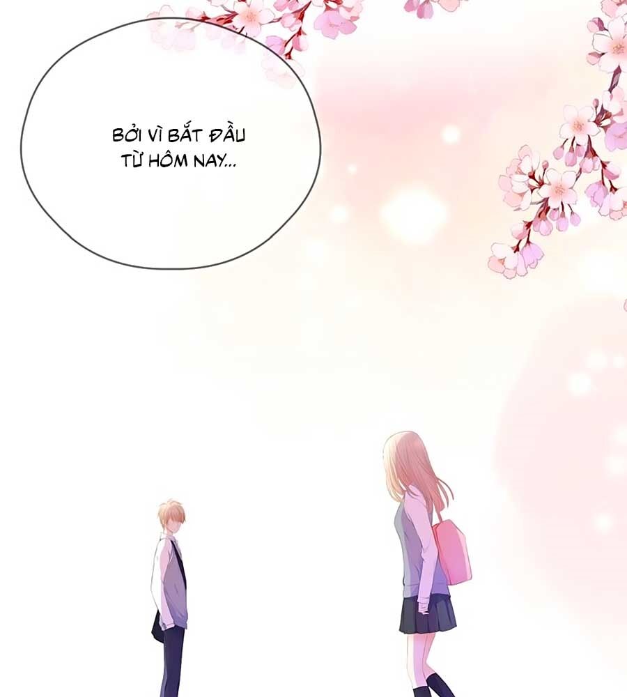 Đóa Hoa Chớm Nở Chapter 66 - Trang 2