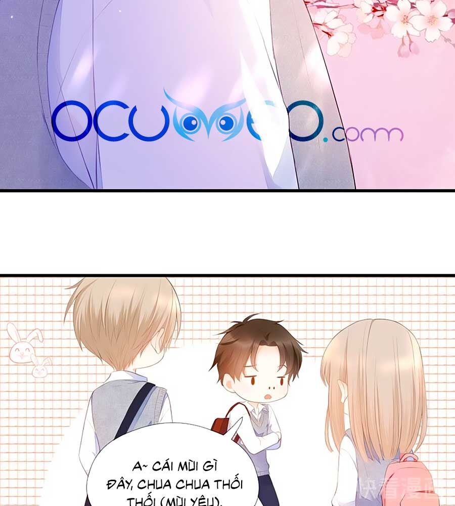 Đóa Hoa Chớm Nở Chapter 66 - Trang 2