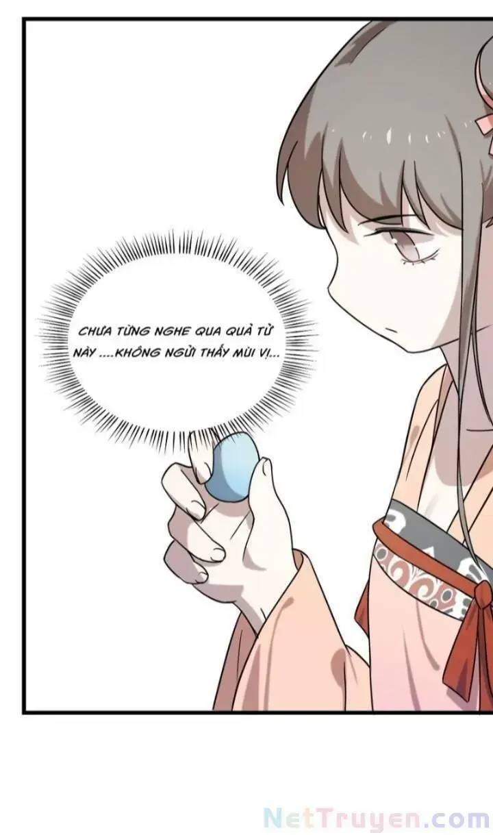 ‘Độc Bộ Thiên Hạ Đặc Công Thần Y Tiểu Thú Phi Chapter 136 - Trang 2