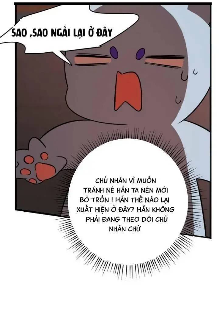 ‘Độc Bộ Thiên Hạ Đặc Công Thần Y Tiểu Thú Phi Chapter 155 - Trang 2
