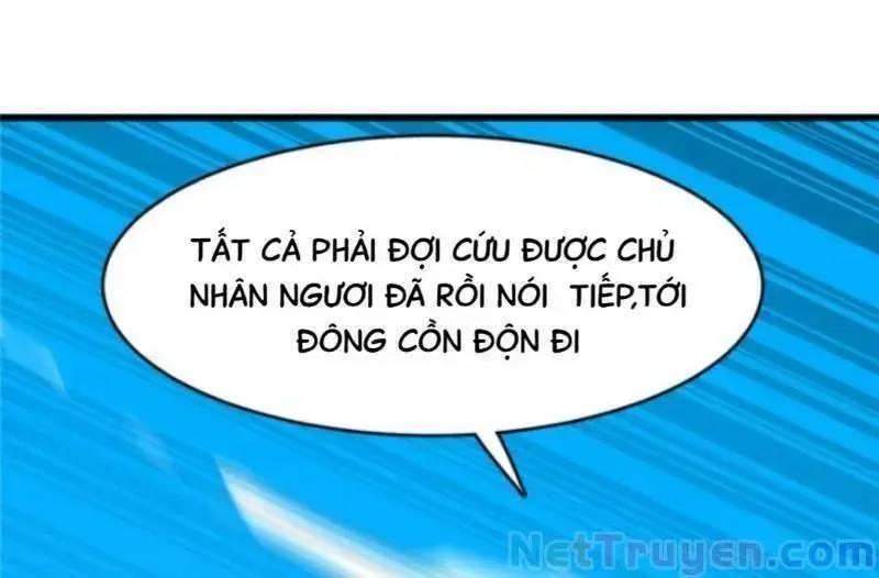 ‘Độc Bộ Thiên Hạ Đặc Công Thần Y Tiểu Thú Phi Chapter 156 - Trang 2