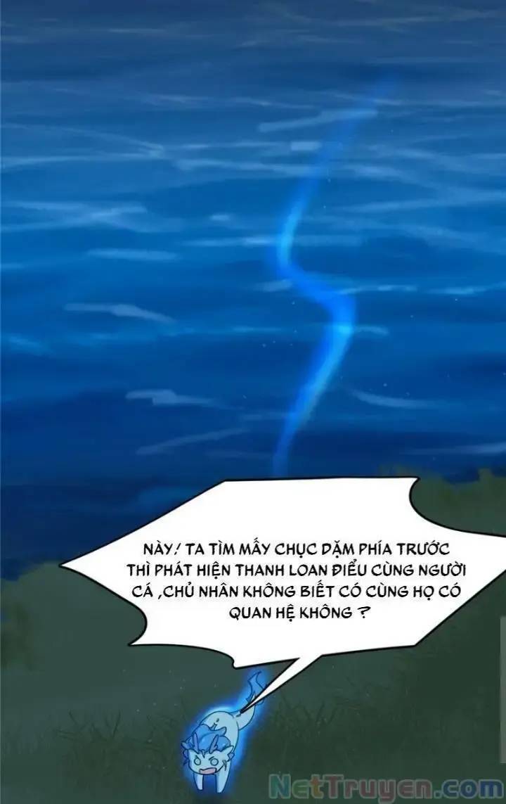 ‘Độc Bộ Thiên Hạ Đặc Công Thần Y Tiểu Thú Phi Chapter 162 - Trang 2