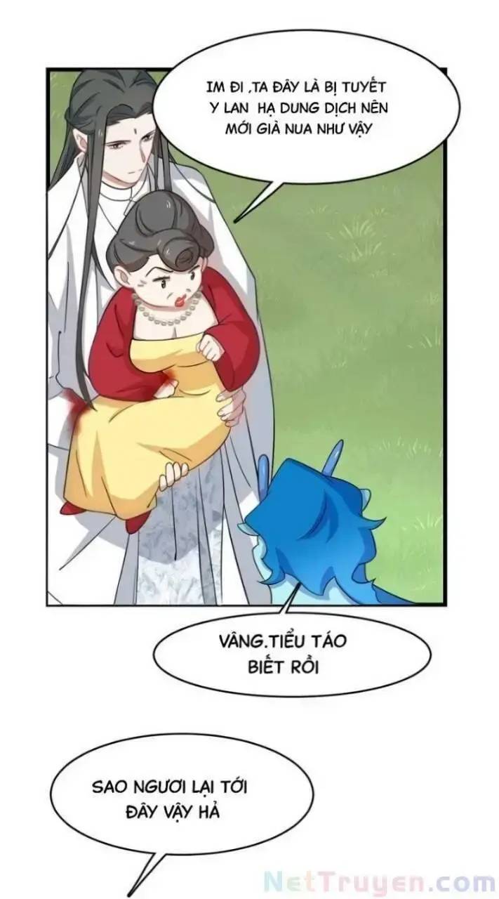 ‘Độc Bộ Thiên Hạ Đặc Công Thần Y Tiểu Thú Phi Chapter 167 - Trang 2