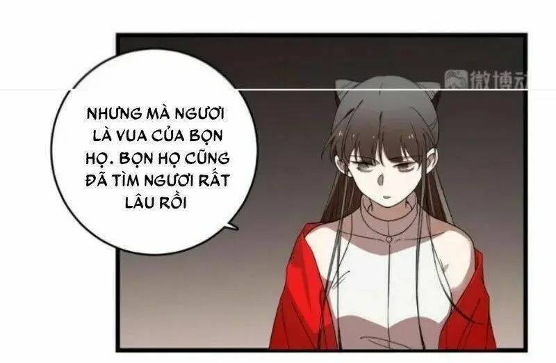 ‘Độc Bộ Thiên Hạ Đặc Công Thần Y Tiểu Thú Phi Chapter 218 - Trang 2