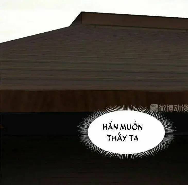 ‘Độc Bộ Thiên Hạ Đặc Công Thần Y Tiểu Thú Phi Chapter 218 - Trang 2
