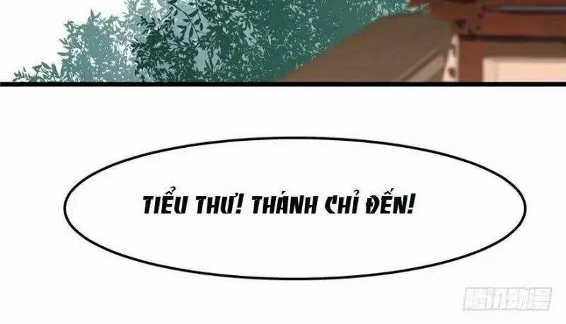 ‘Độc Bộ Thiên Hạ Đặc Công Thần Y Tiểu Thú Phi Chapter 22 - Trang 2