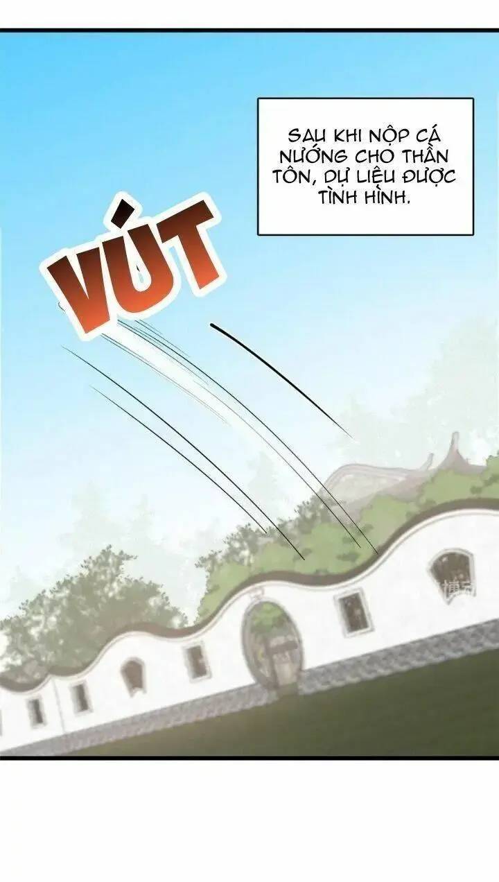 ‘Độc Bộ Thiên Hạ Đặc Công Thần Y Tiểu Thú Phi Chapter 242 - Trang 2