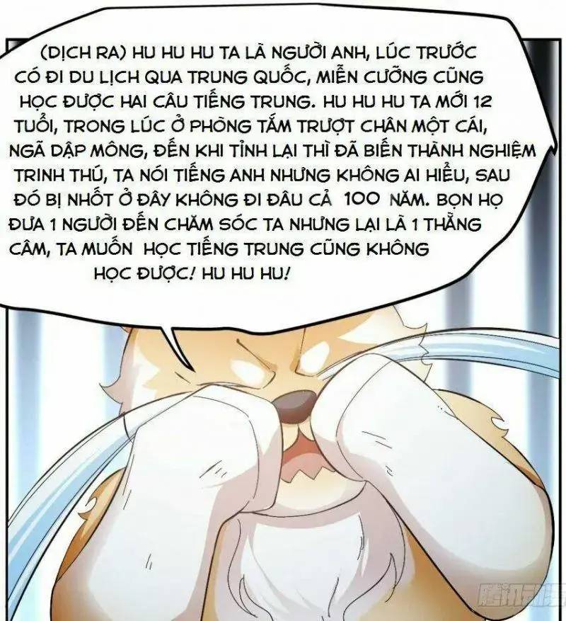 ‘Độc Bộ Thiên Hạ Đặc Công Thần Y Tiểu Thú Phi Chapter 3 - Trang 2
