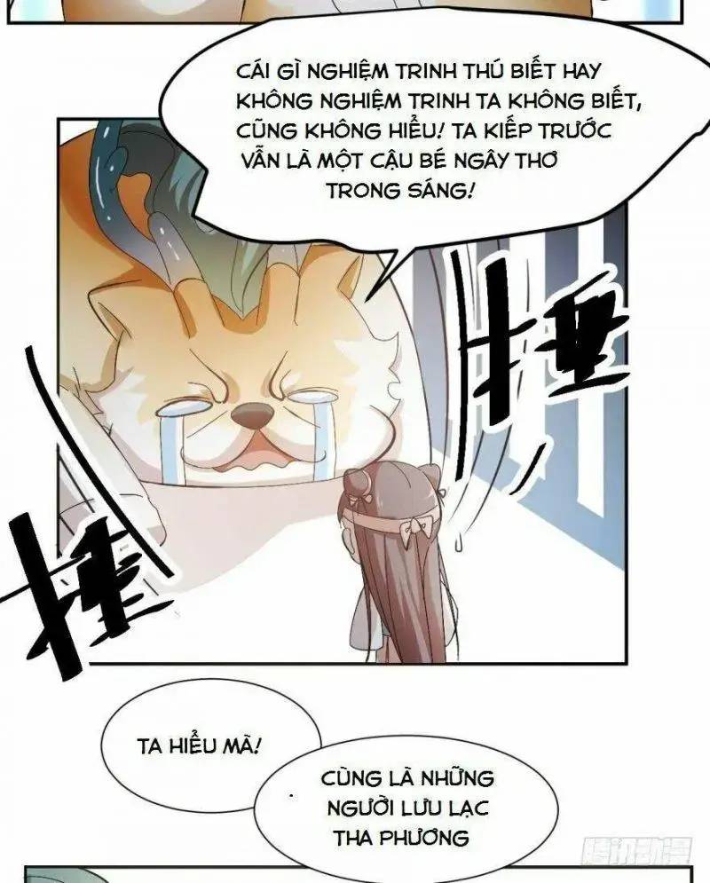 ‘Độc Bộ Thiên Hạ Đặc Công Thần Y Tiểu Thú Phi Chapter 3 - Trang 2