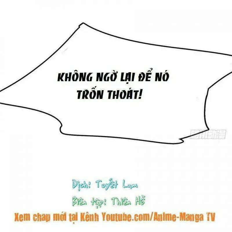 ‘Độc Bộ Thiên Hạ Đặc Công Thần Y Tiểu Thú Phi Chapter 30 - Trang 2