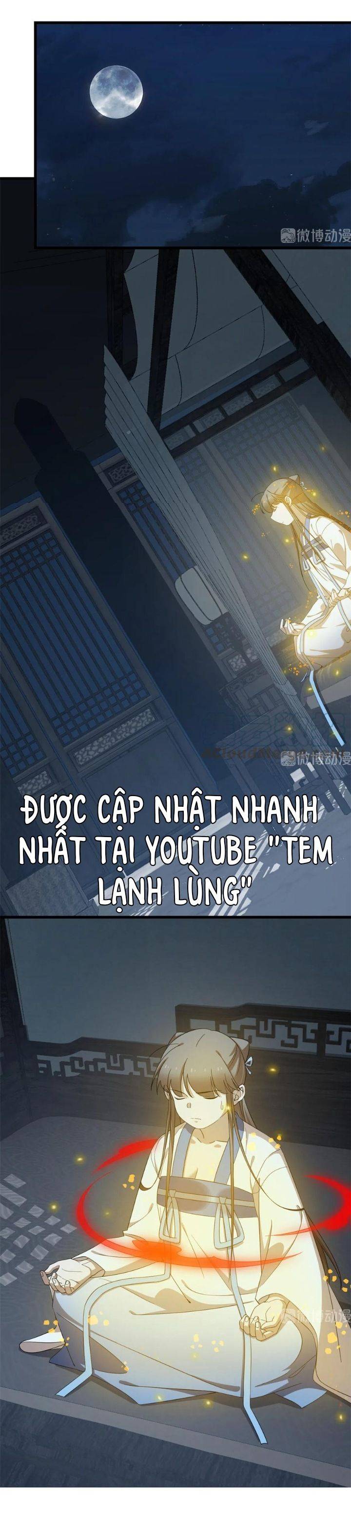 ‘Độc Bộ Thiên Hạ Đặc Công Thần Y Tiểu Thú Phi Chapter 300 - Trang 2