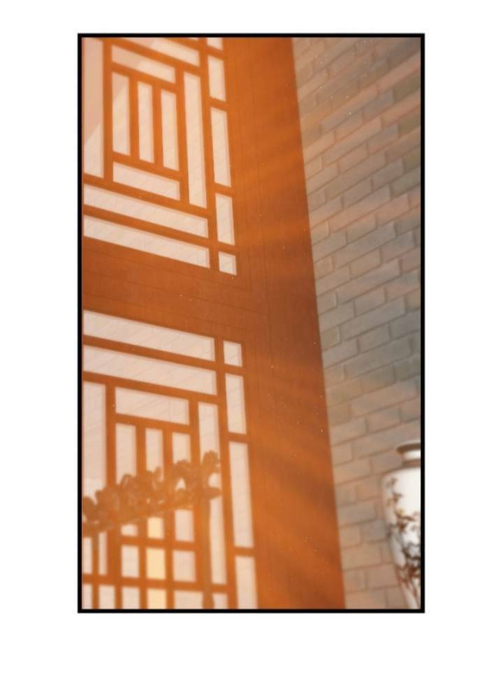 Độc Bộ Thiên Hạ: Đặc Công Thần Y Chapter 129 - Trang 2