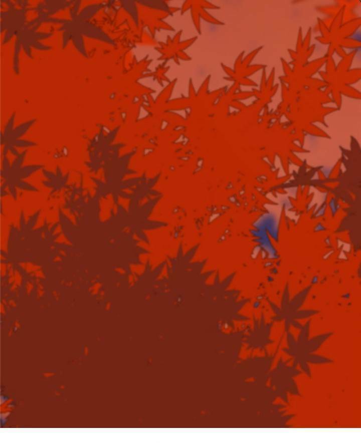 Độc Bộ Thiên Hạ: Đặc Công Thần Y Chapter 131 - Trang 2