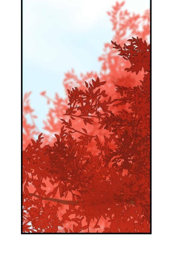 Độc Bộ Thiên Hạ: Đặc Công Thần Y Chapter 133 - Trang 2