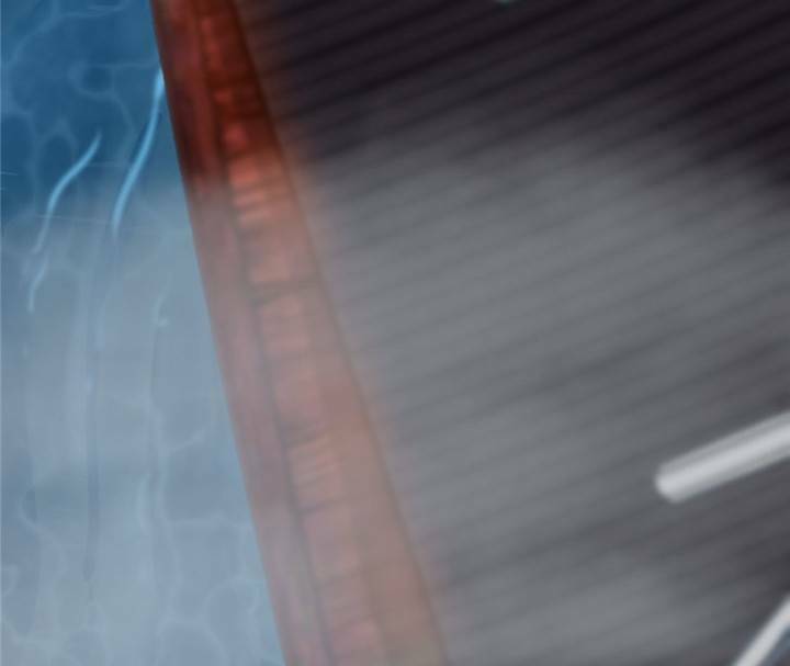 Độc Bộ Thiên Hạ: Đặc Công Thần Y Chapter 144 - Trang 2