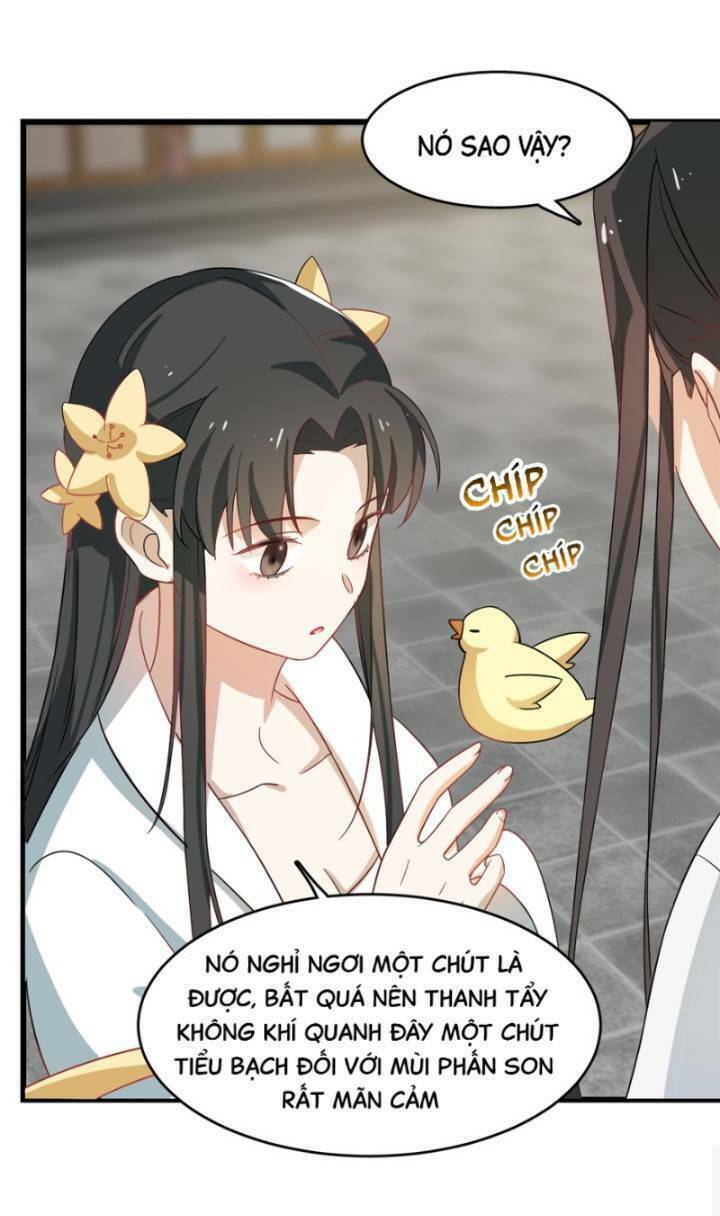 Độc Bộ Thiên Hạ: Đặc Công Thần Y Chapter 163 - Trang 2