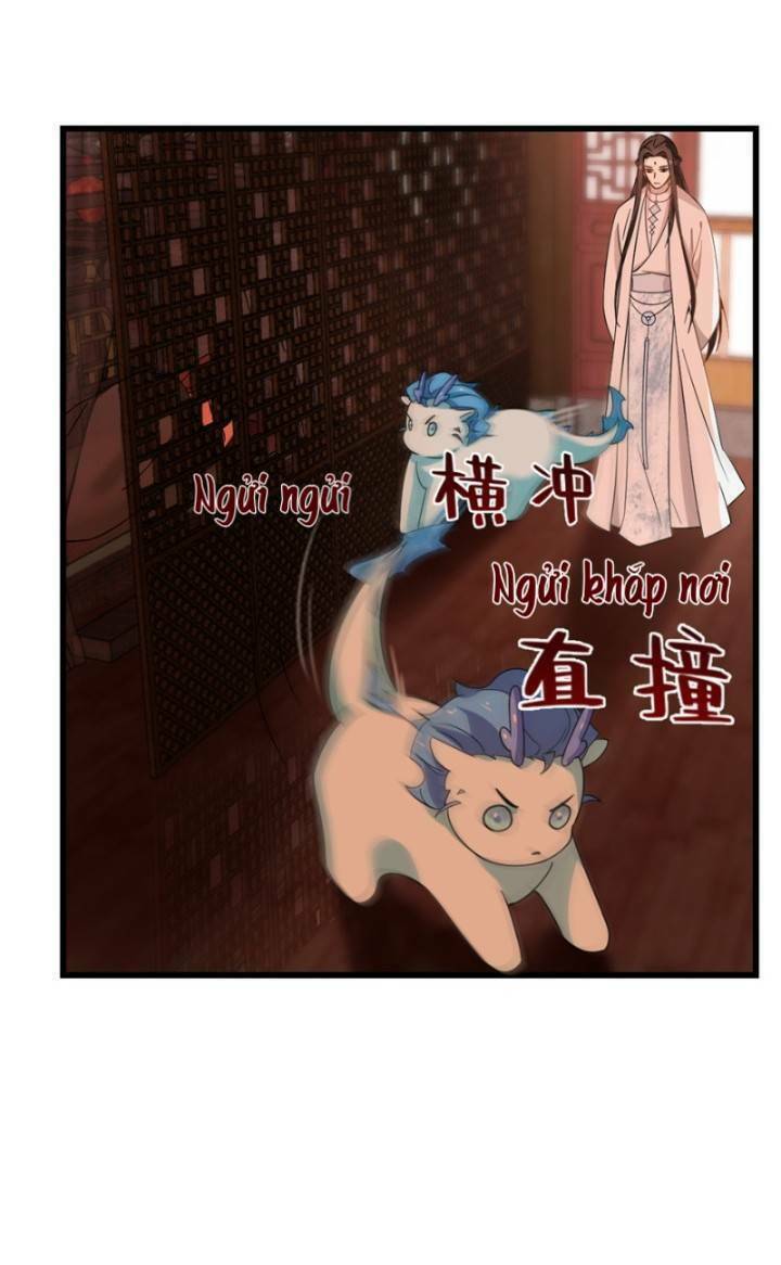 Độc Bộ Thiên Hạ: Đặc Công Thần Y Chapter 163 - Trang 2