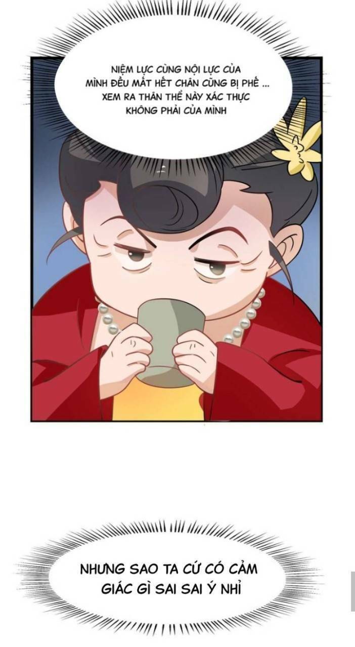 Độc Bộ Thiên Hạ: Đặc Công Thần Y Chapter 164 - Trang 2