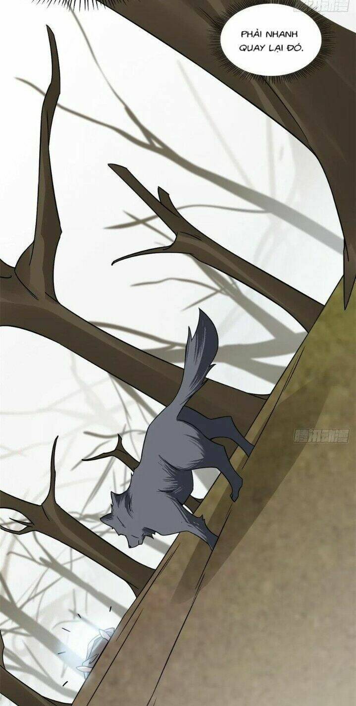 Độc Bộ Thiên Hạ: Đặc Công Thần Y Chapter 203 - Trang 2