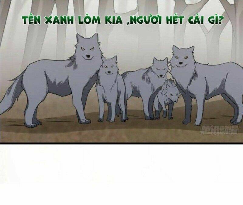 Độc Bộ Thiên Hạ: Đặc Công Thần Y Chapter 204 - Trang 2