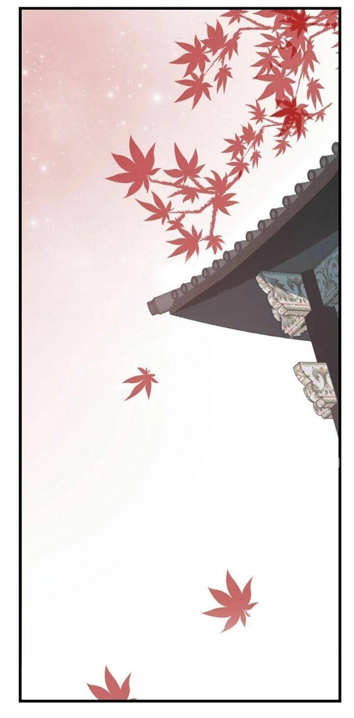 Độc Bộ Thiên Hạ: Đặc Công Thần Y Chapter 227 - Trang 2