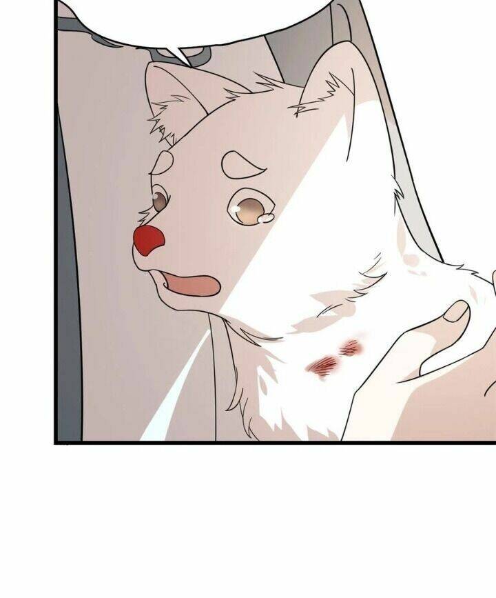 Độc Bộ Thiên Hạ: Đặc Công Thần Y Chapter 242 - Trang 2