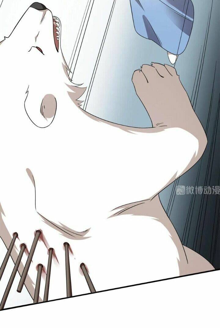 Độc Bộ Thiên Hạ: Đặc Công Thần Y Chapter 254 - Trang 2