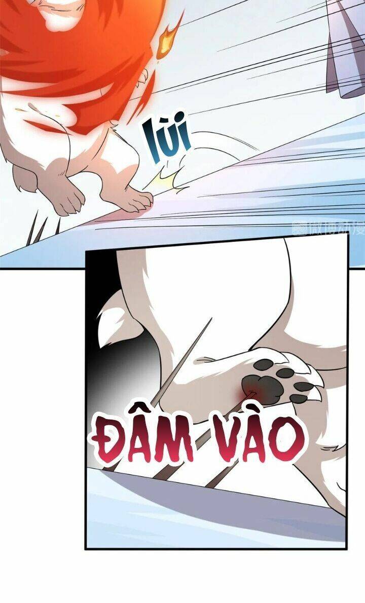 Độc Bộ Thiên Hạ: Đặc Công Thần Y Chapter 254 - Trang 2