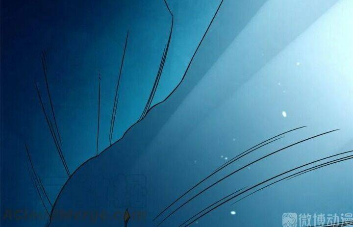 Độc Bộ Thiên Hạ: Đặc Công Thần Y Chapter 256 - Trang 2