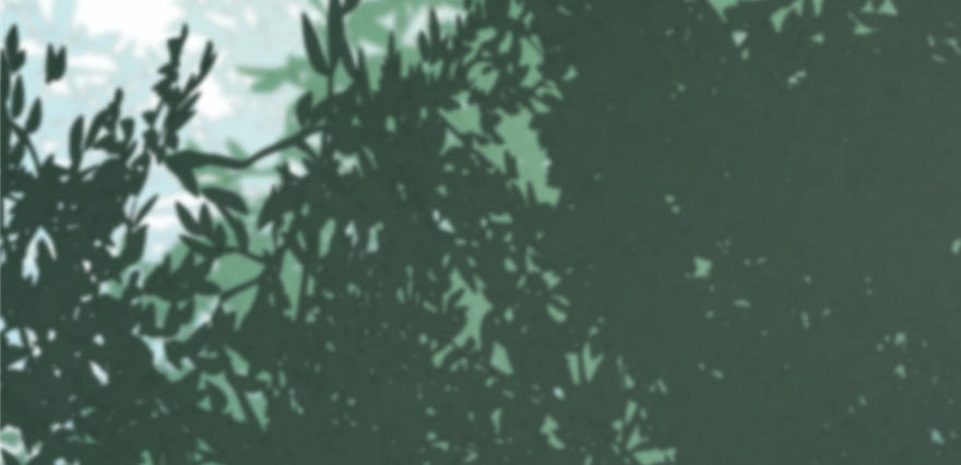 Độc Bộ Thiên Hạ: Đặc Công Thần Y Chapter 26 - Trang 2