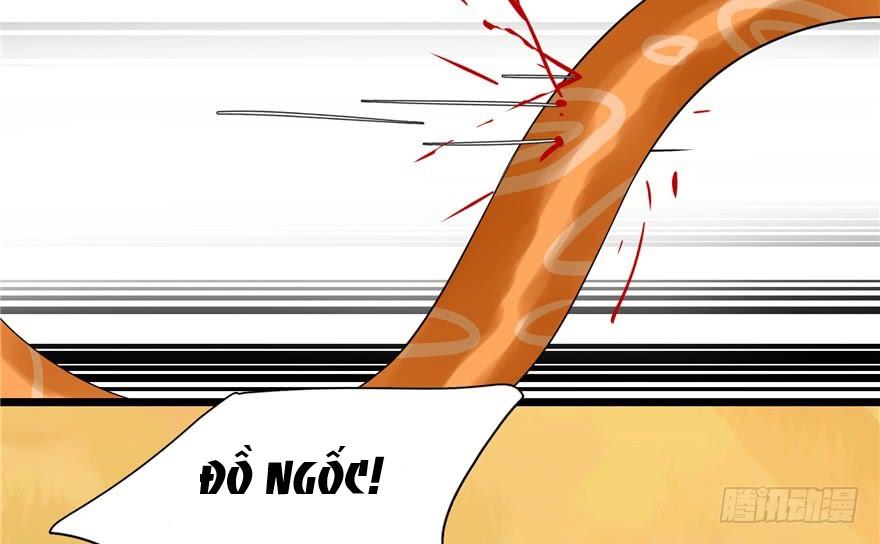 Độc Bộ Thiên Hạ: Đặc Công Thần Y Chapter 27 - Trang 2