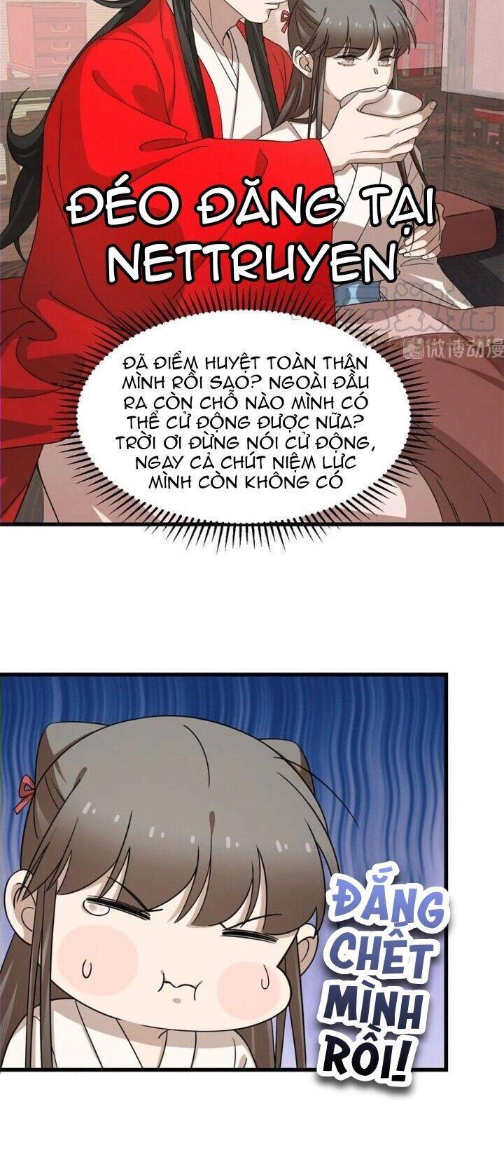 Độc Bộ Thiên Hạ: Đặc Công Thần Y Chapter 281 - Trang 2