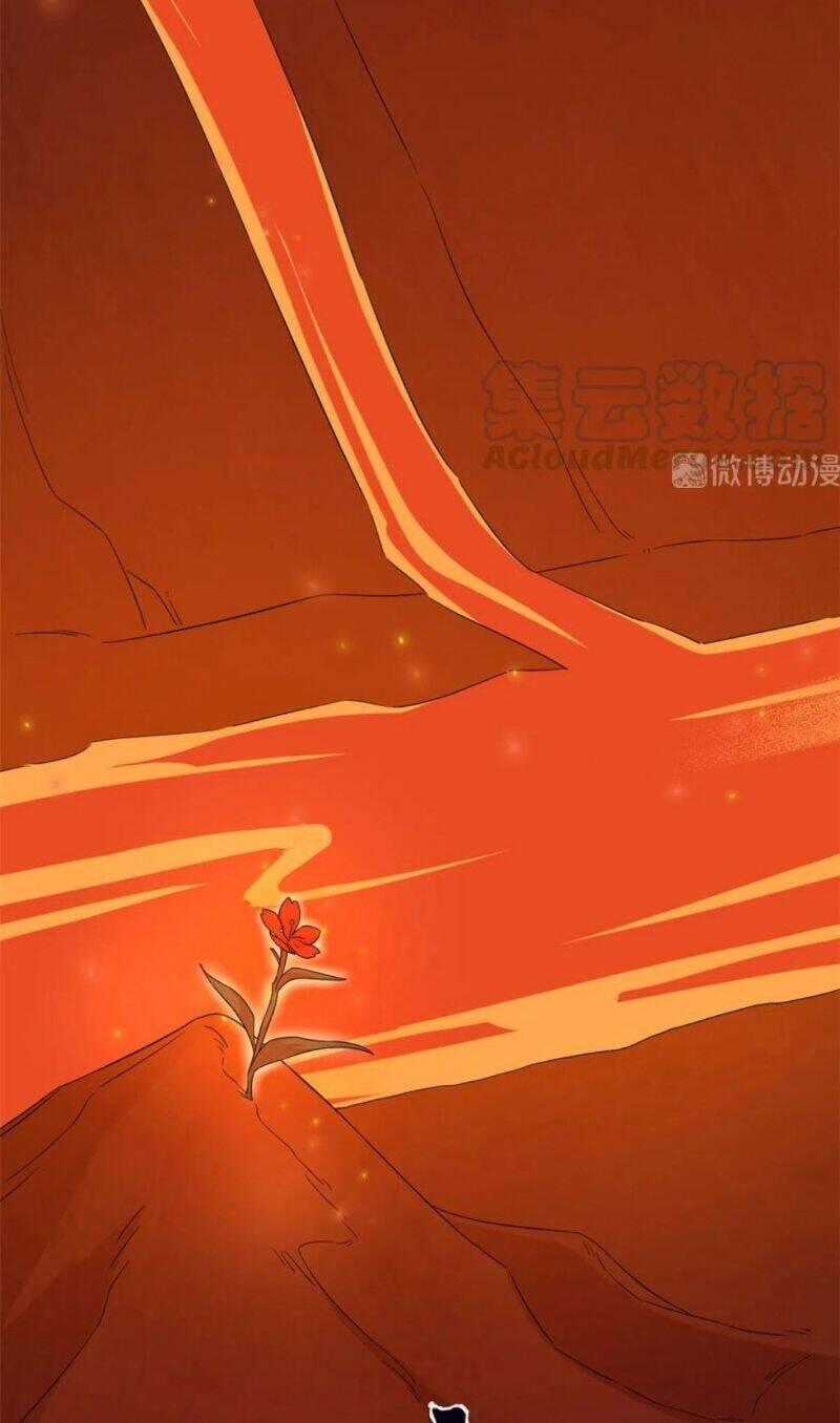 Độc Bộ Thiên Hạ: Đặc Công Thần Y Chapter 284 - Trang 2