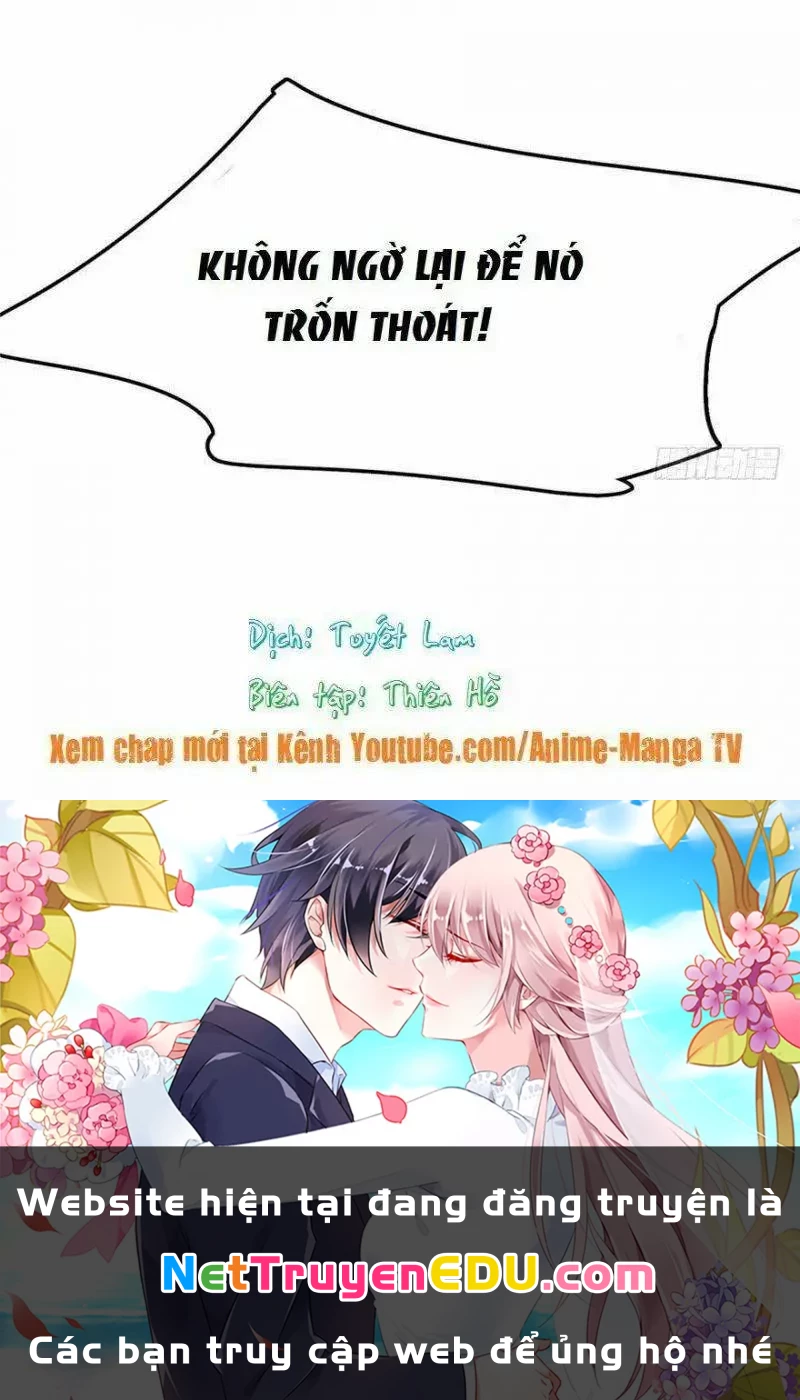 Độc Bộ Thiên Hạ: Đặc Công Thần Y Chapter 31 - Trang 2