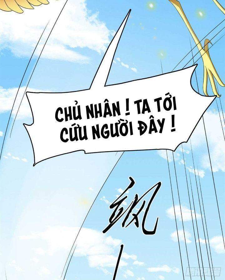 Độc Bộ Thiên Hạ: Đặc Công Thần Y Chapter 311 - Trang 2