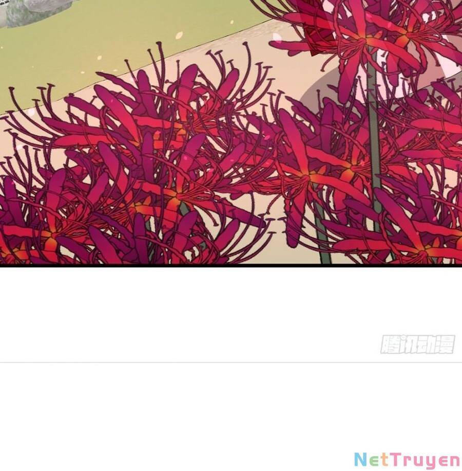 Độc Bộ Thiên Hạ: Đặc Công Thần Y Chapter 327 - Trang 2