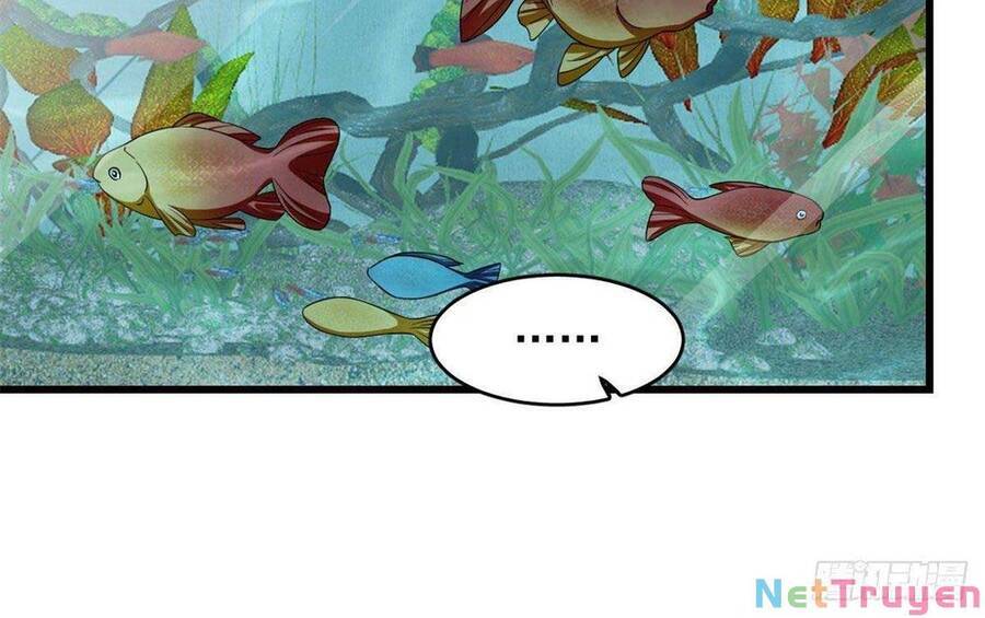 Độc Bộ Thiên Hạ: Đặc Công Thần Y Chapter 345 - Trang 2